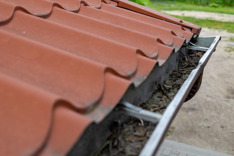 Gutter Service detail