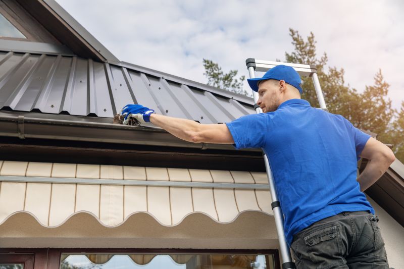 Gutter Cleaning Experts