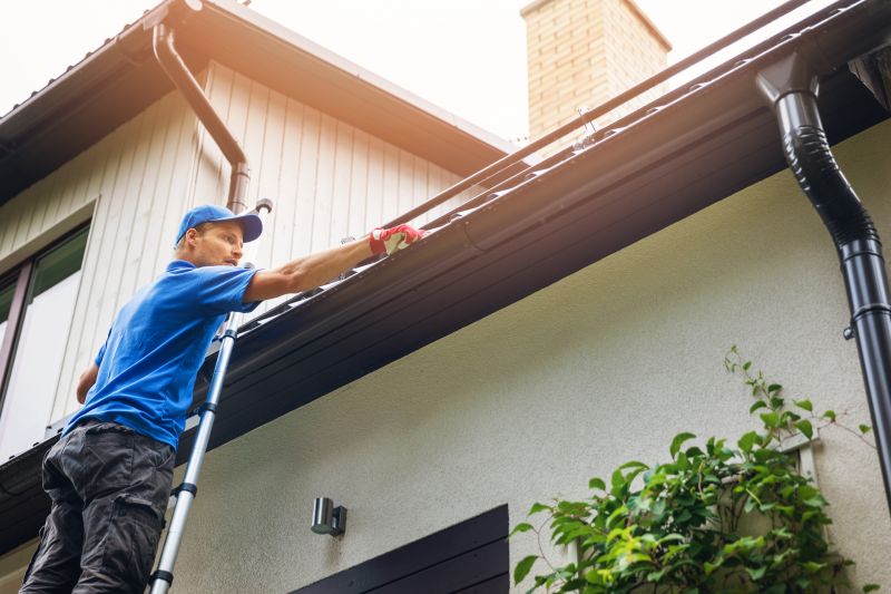 Handyman Services for Gutter Repairs