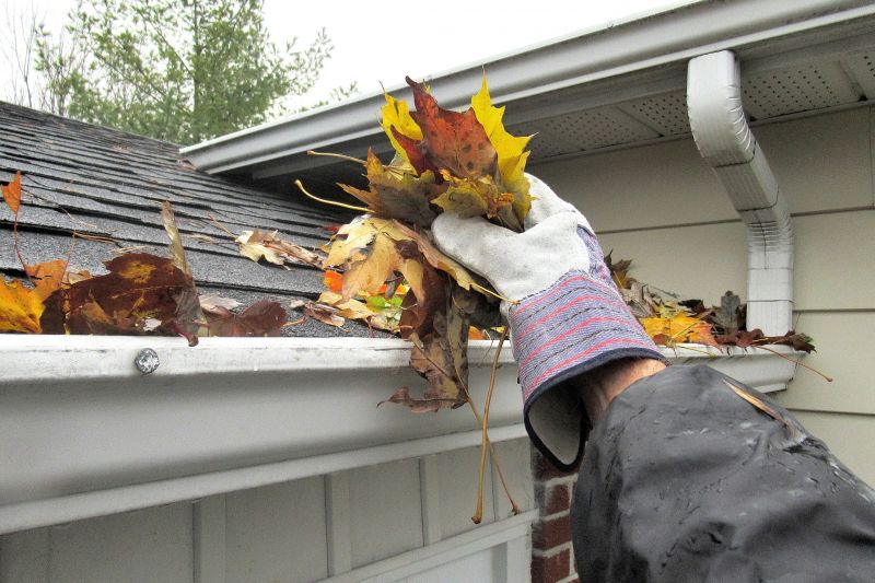 Gutter Service in Fall
